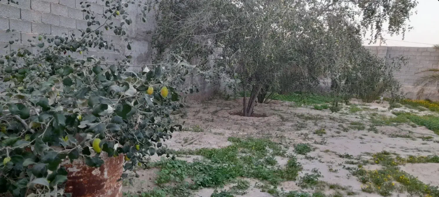 فروش زمین ۴۰۰ متری سند مسکونی گورک دژگاه
