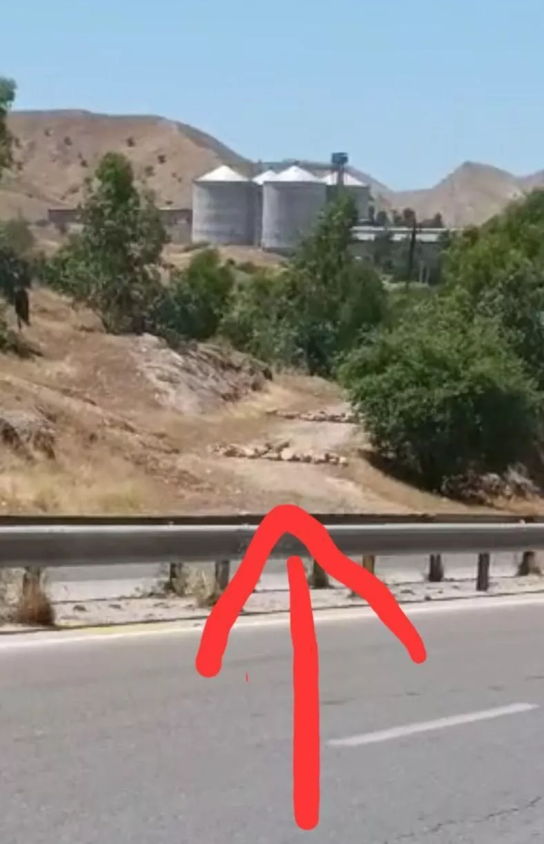 زمین کشاوری مشاع سند تک برگ