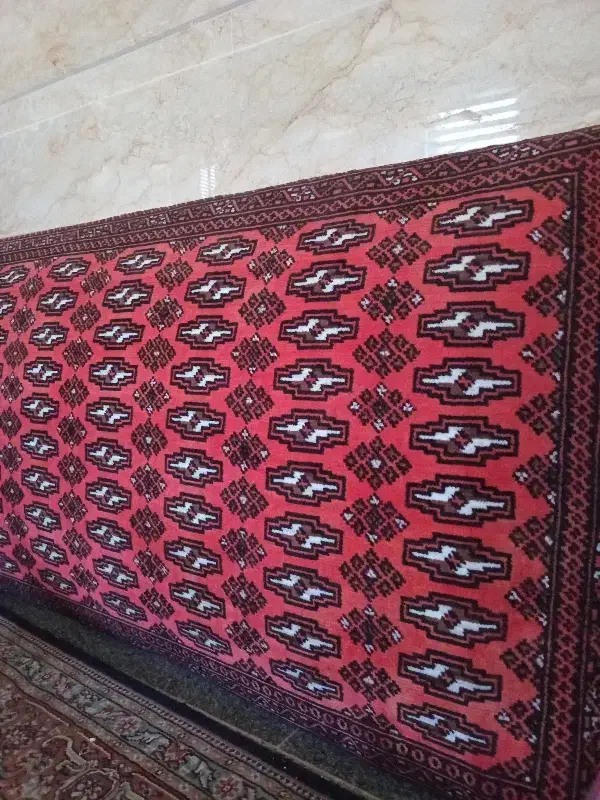 هم خونه