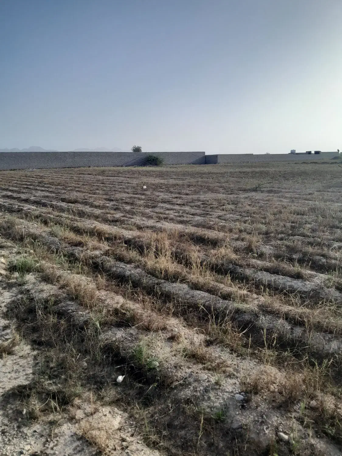 زمین سرخون با مدارک کامل