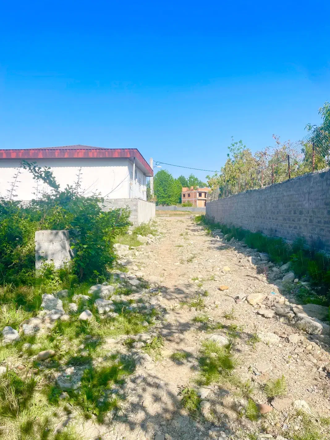 زمین نوشهر نسترن