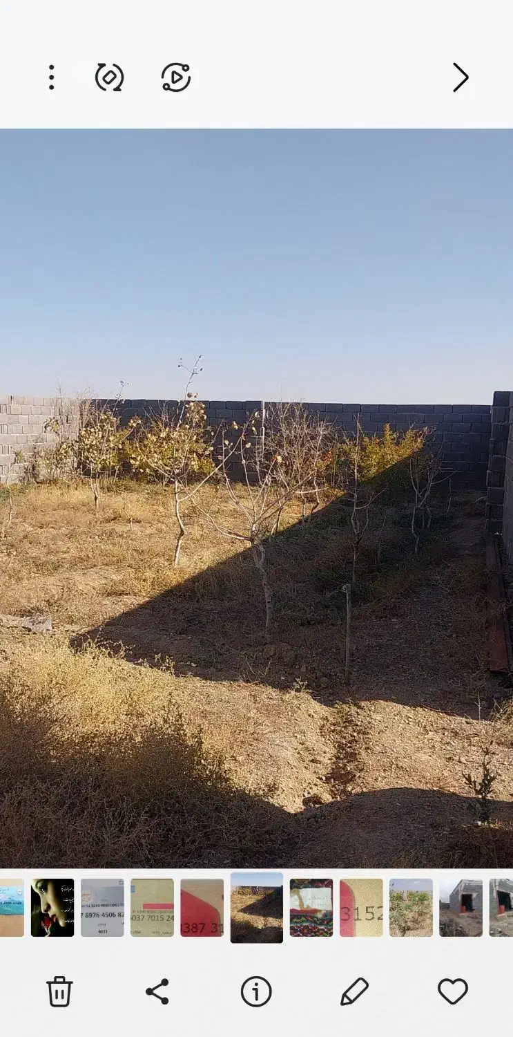 باغچه ۴ دیواری