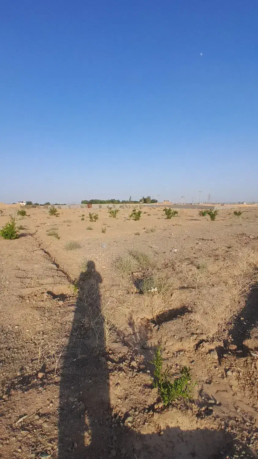 فروش باغچه وباغ