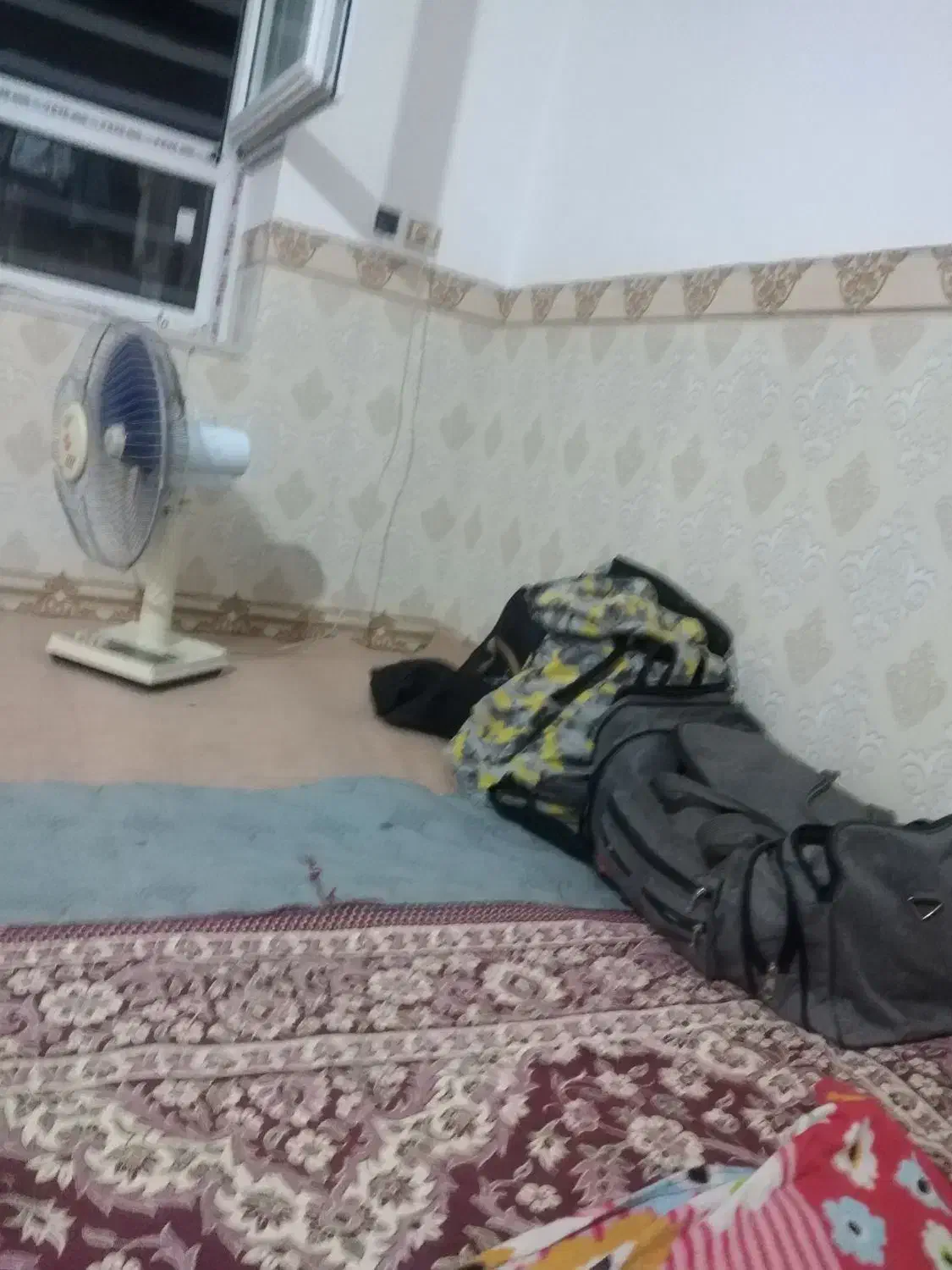 نیازمند به هم خانه ای