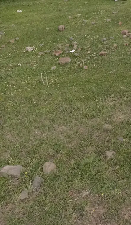 زمین۳۰۰متر روستای زیکسار صومعه سرا۶۰۰۰