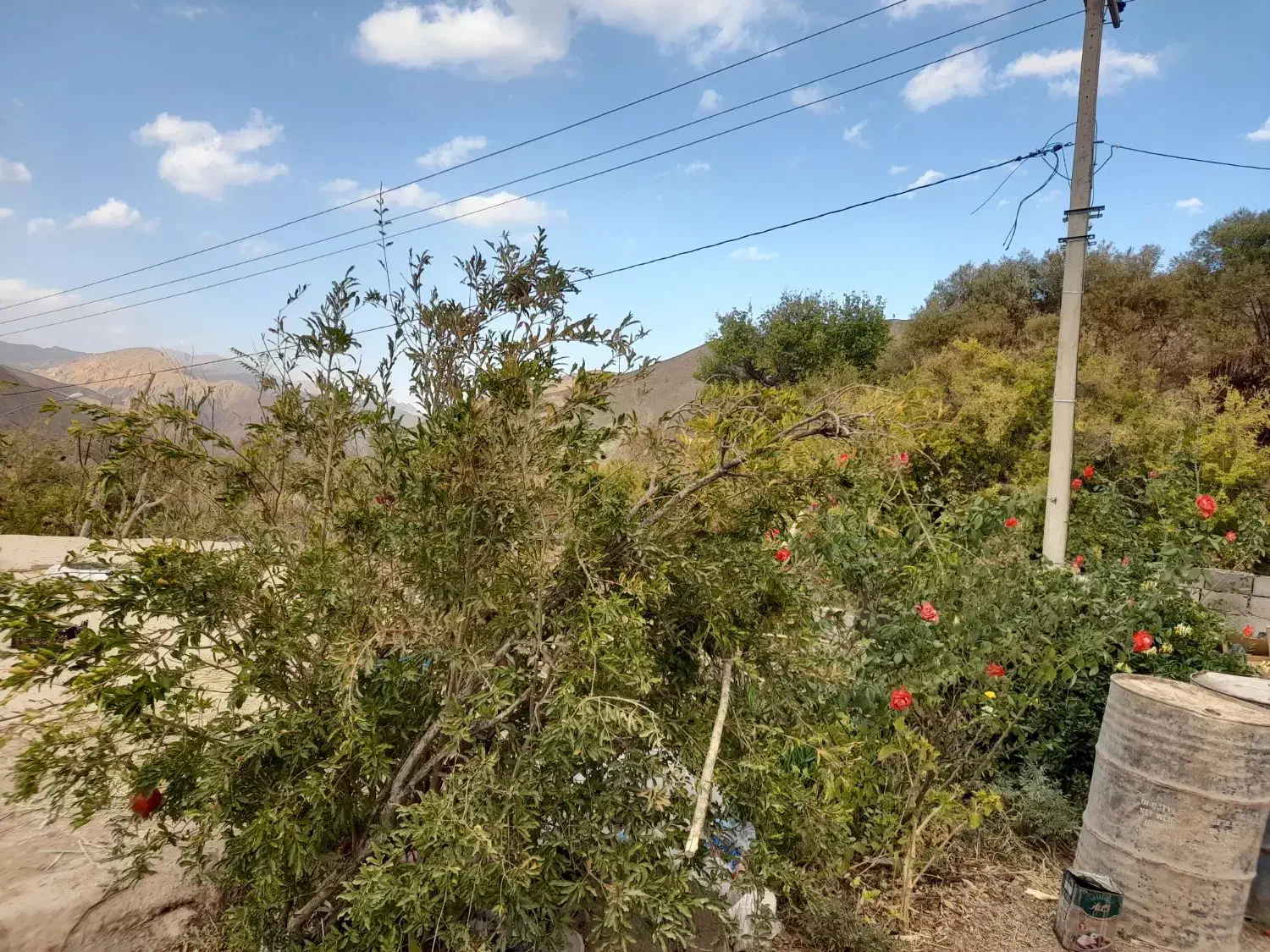 خونه باغ جوشان