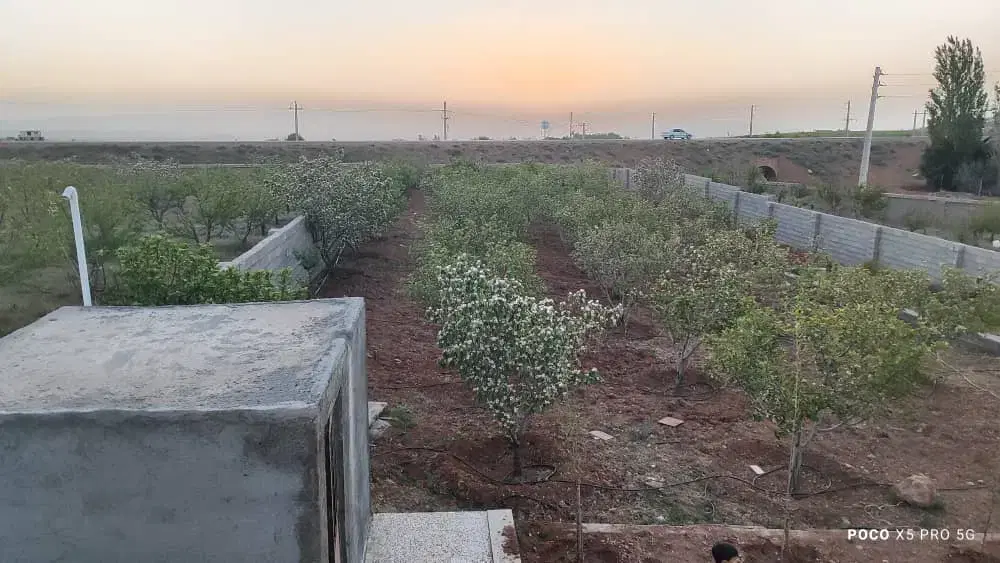 باغ