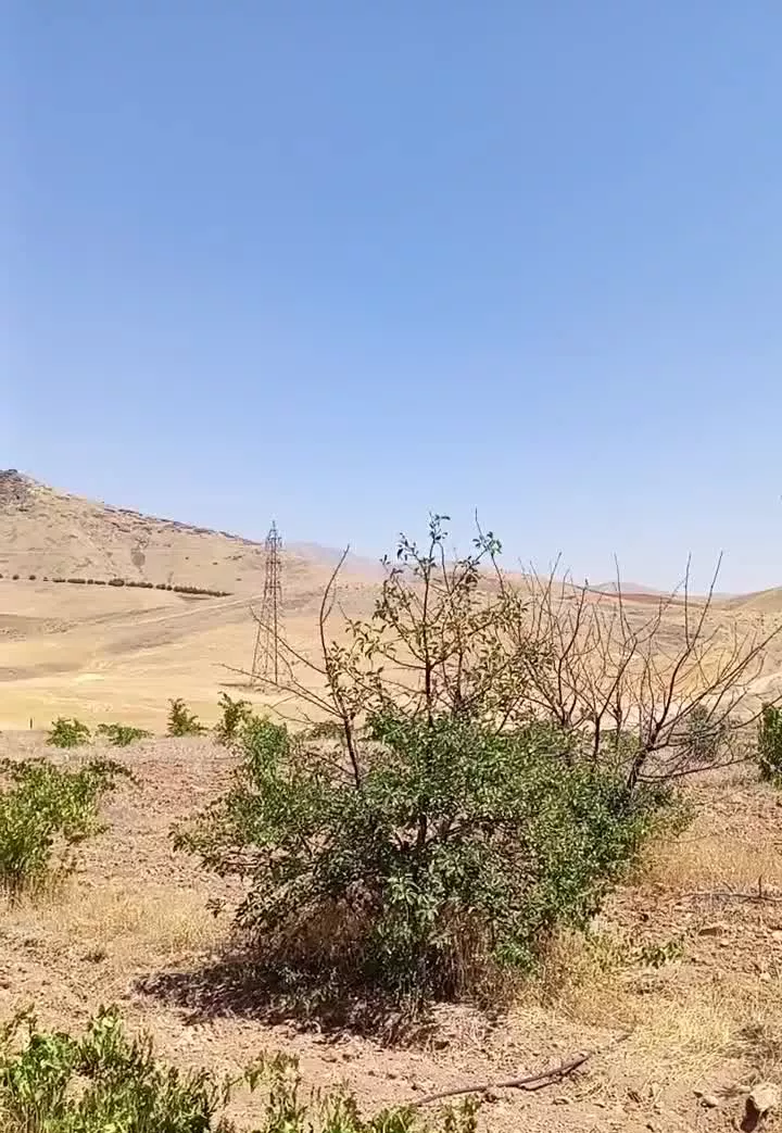 باغ روبروی سد سرابقامیش