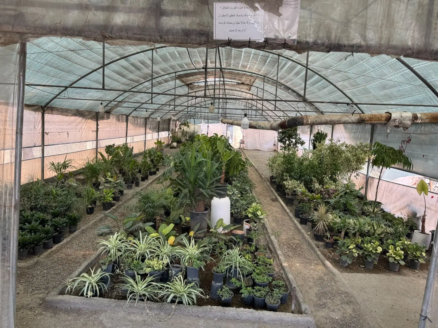 اجاره گلخانه