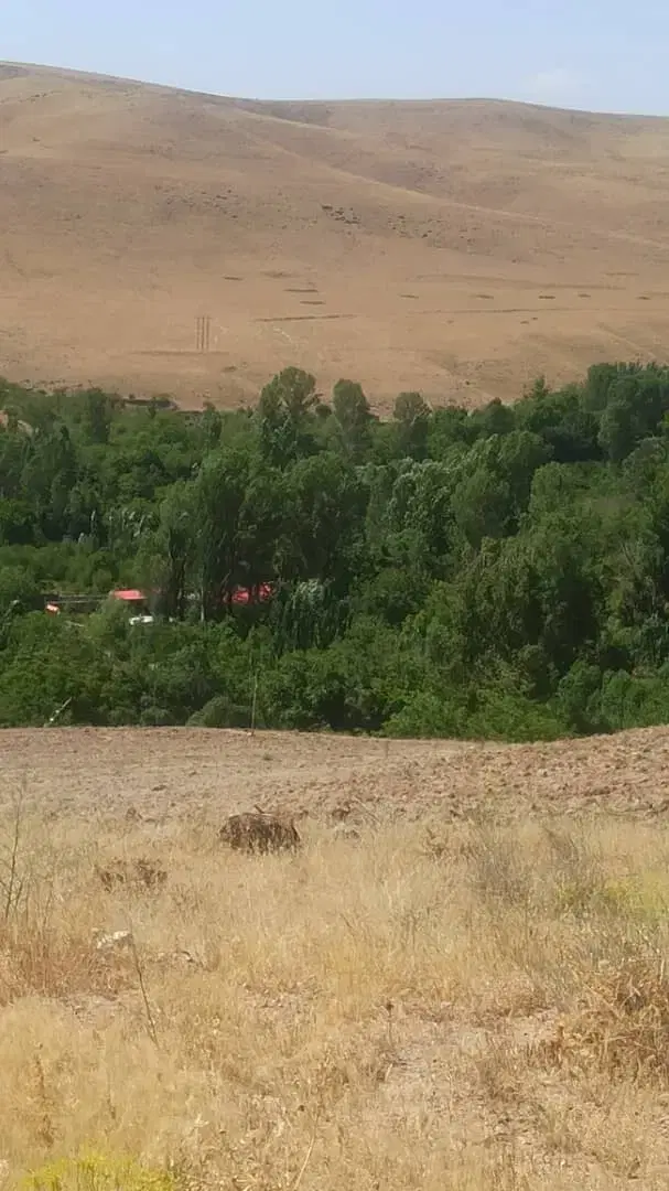 باغ، ویلا، یِر