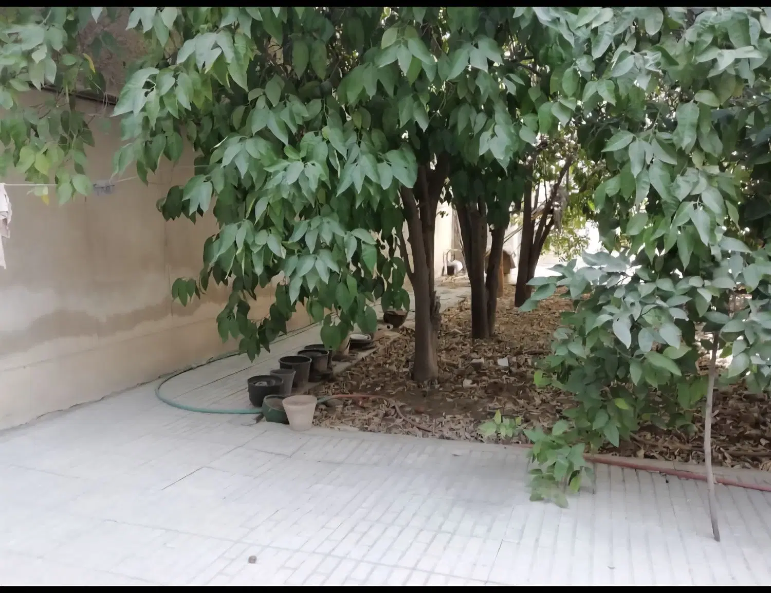 فروش ویلایی ۴۰۰ متر باغشاه