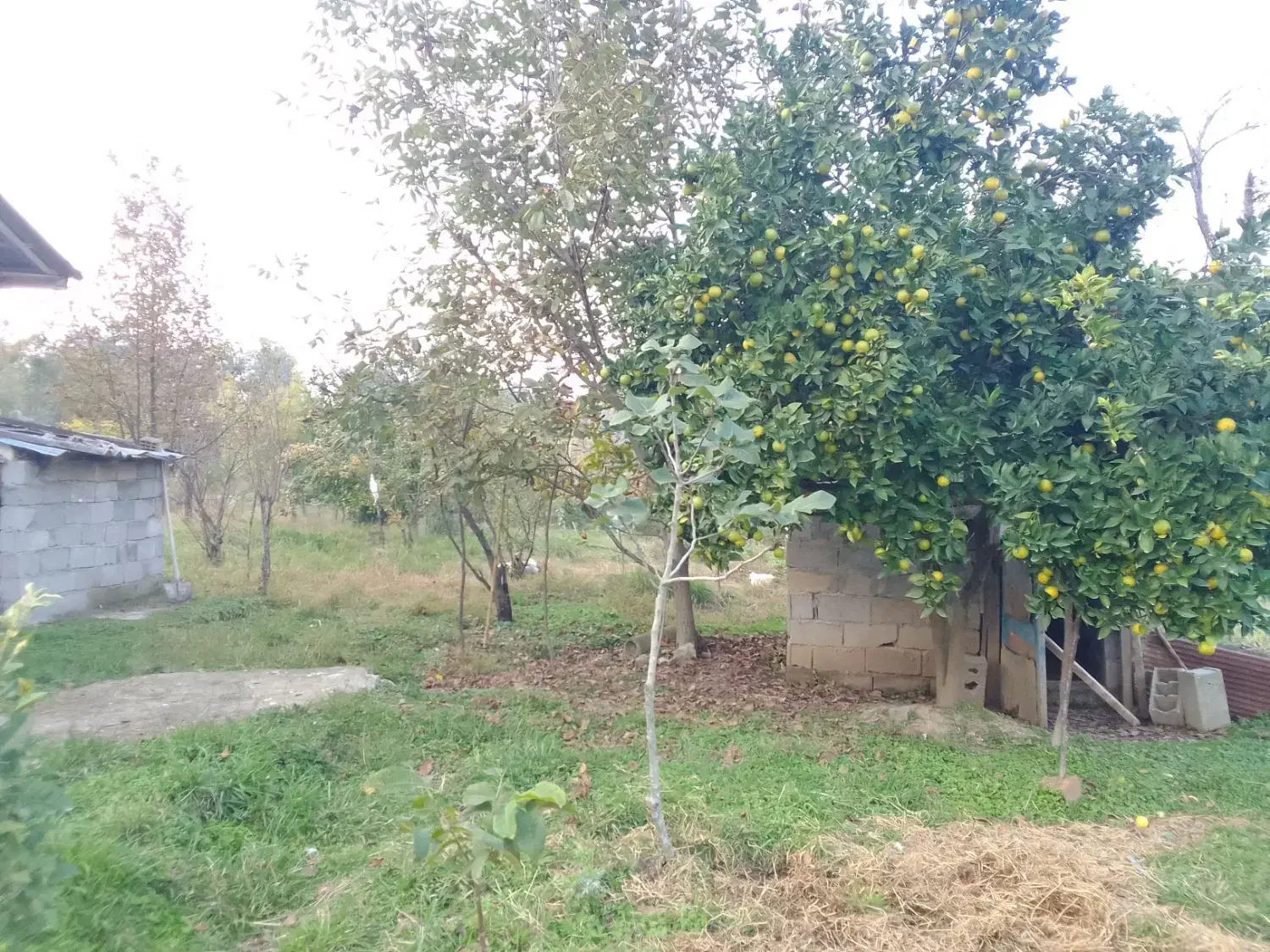 فروش زمین مسکونی