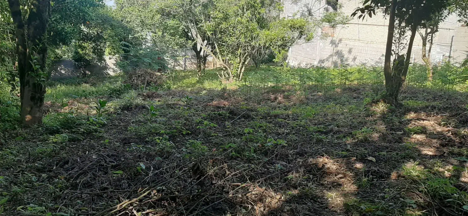 فروش زمین مسکونی به متراژ ۵۳۷ متر