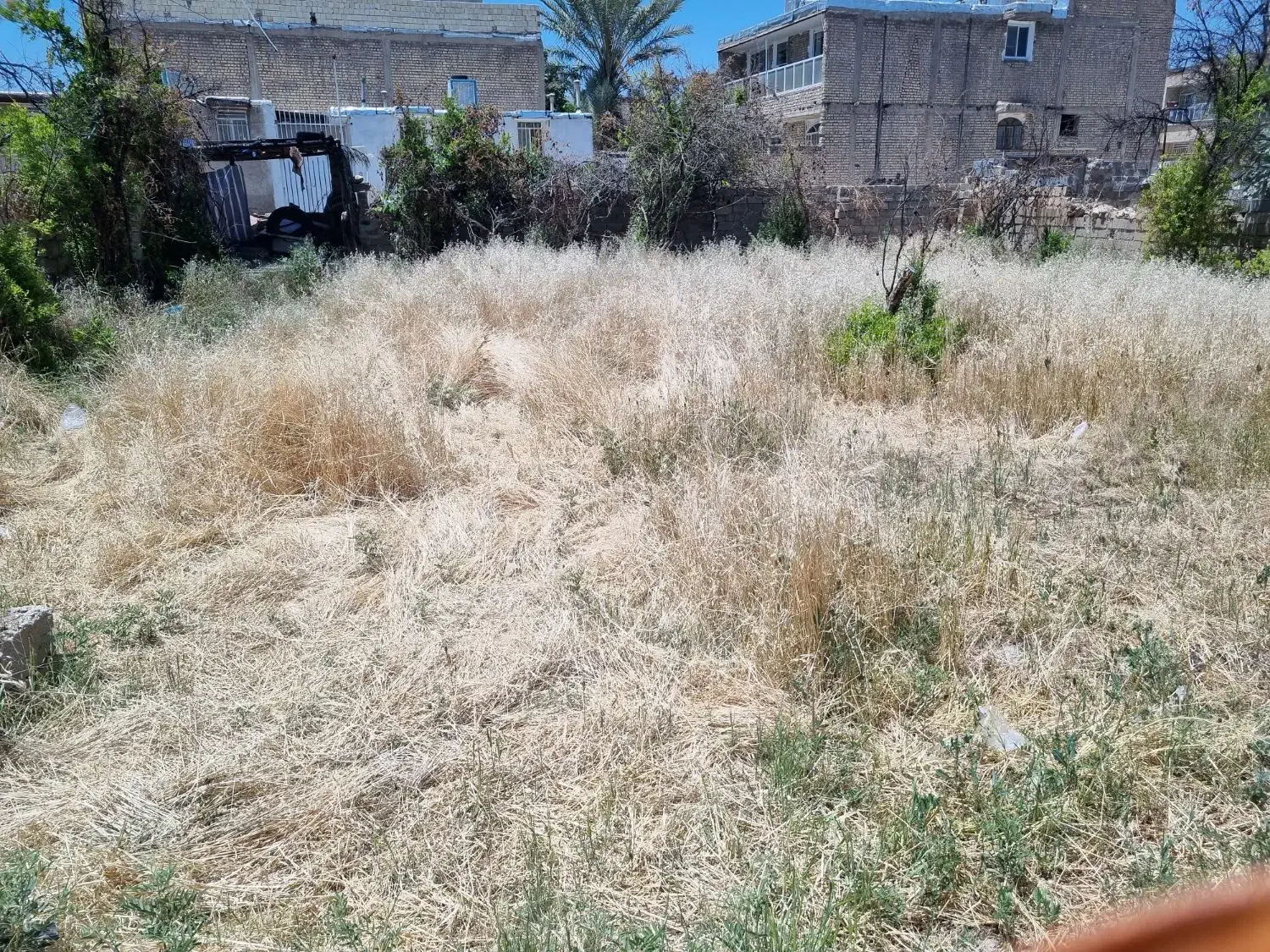 اجاره سالانه  باغچه ۱۰۰۰ متری