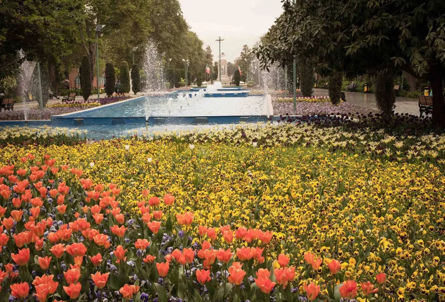 زمین عطریاس