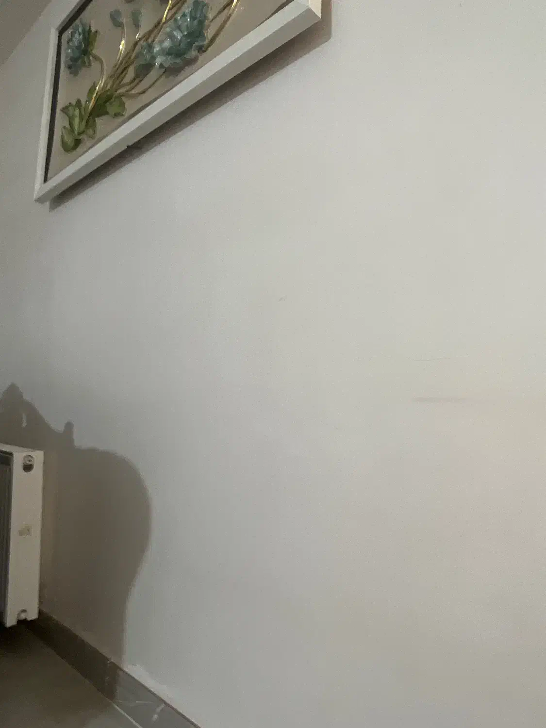 ملک ویلایی سر کوچه