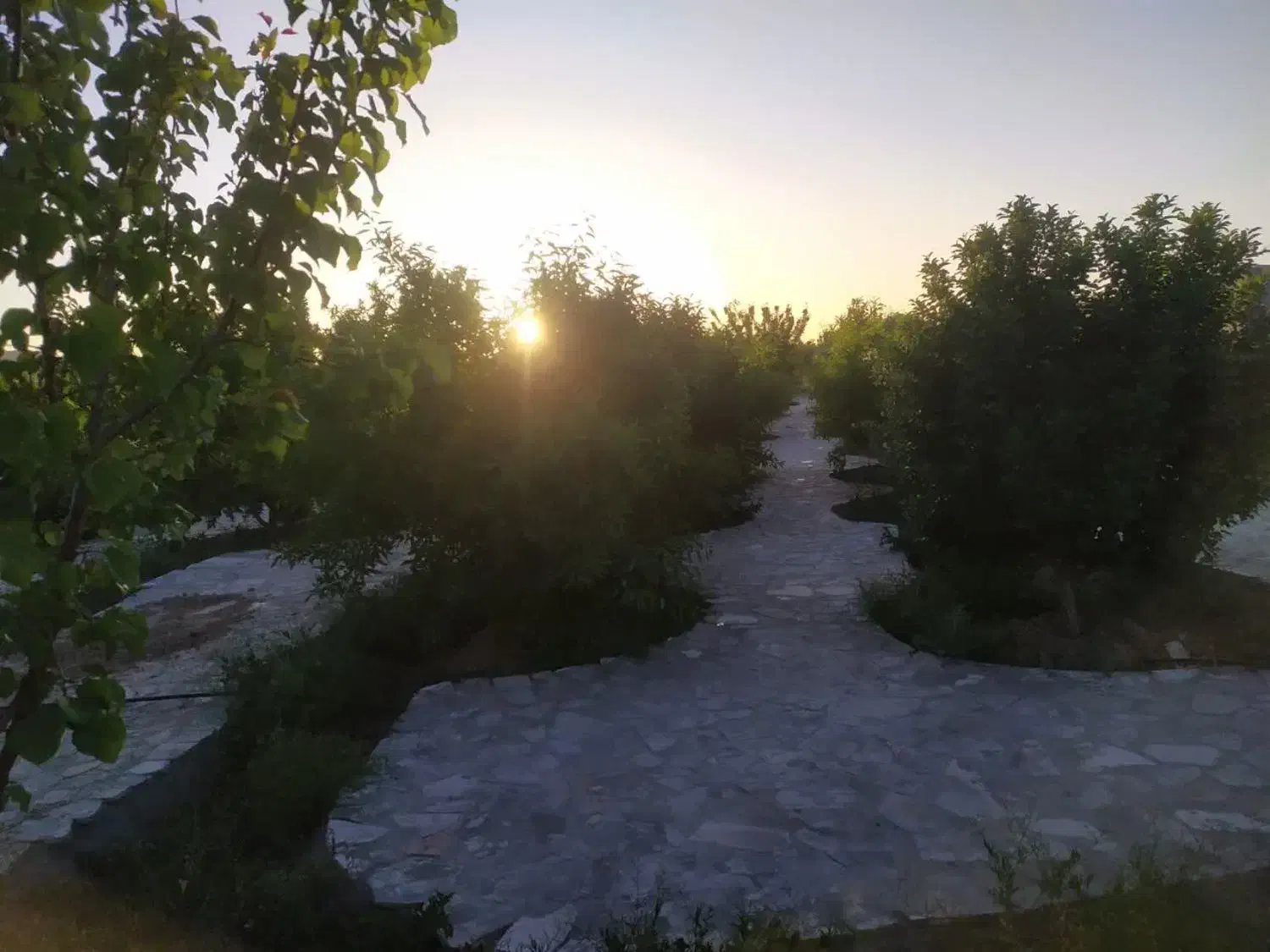 باغ 3000متری