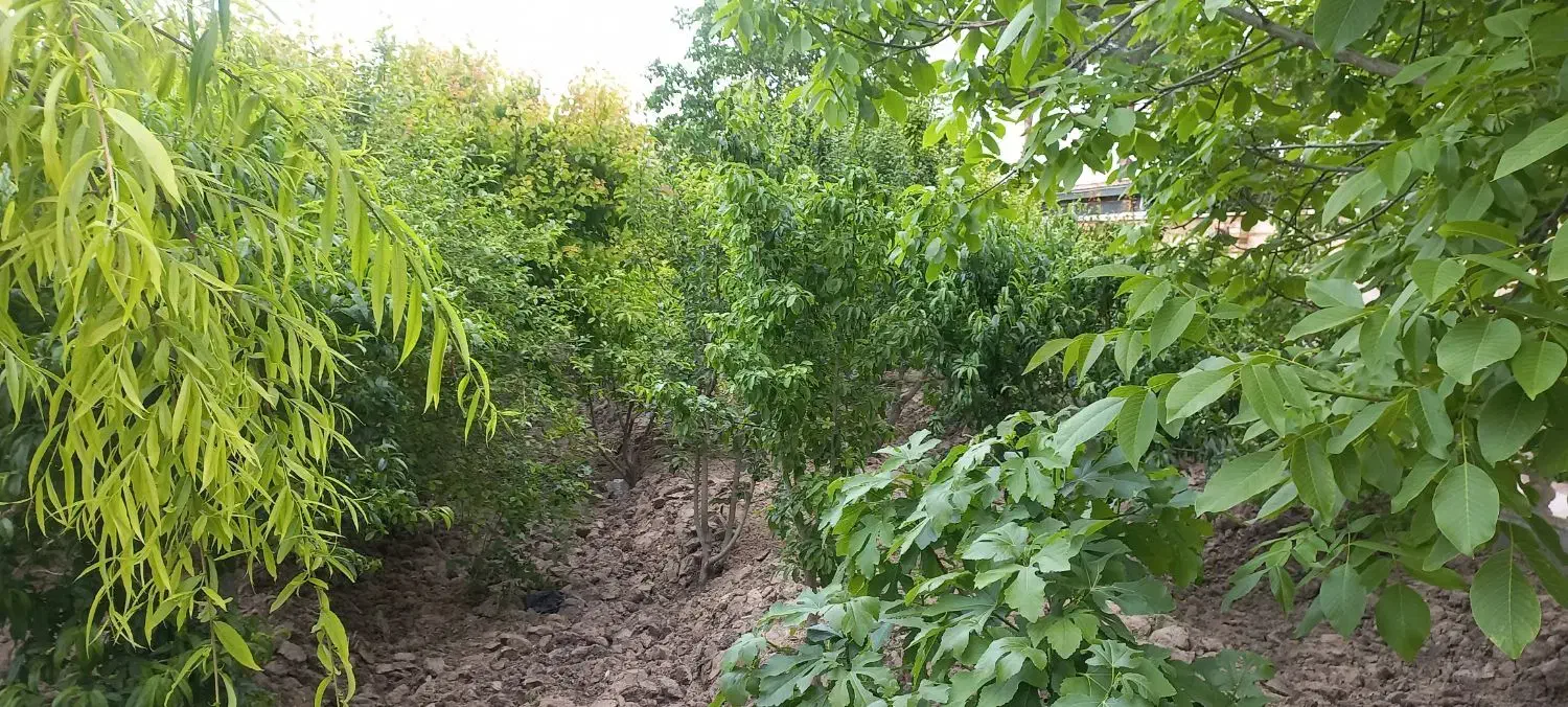 چهاردیواری ۵۰۰ متری سند تک برگ