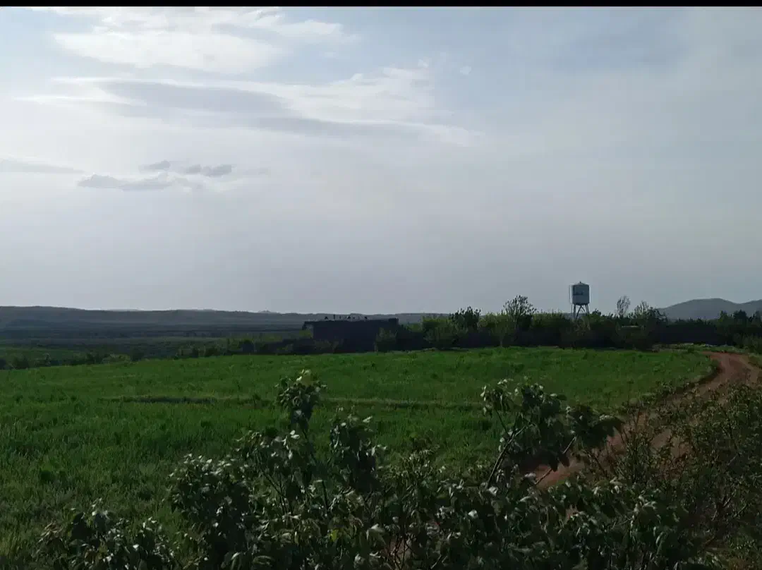 فروش زمین