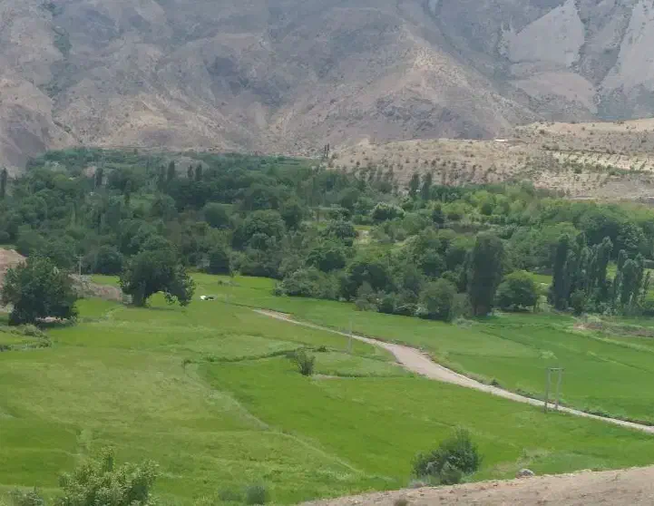 زمین در معلم کلایه الموت