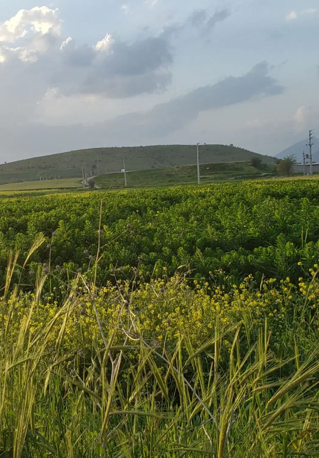 فروش زمین پشت بند دره