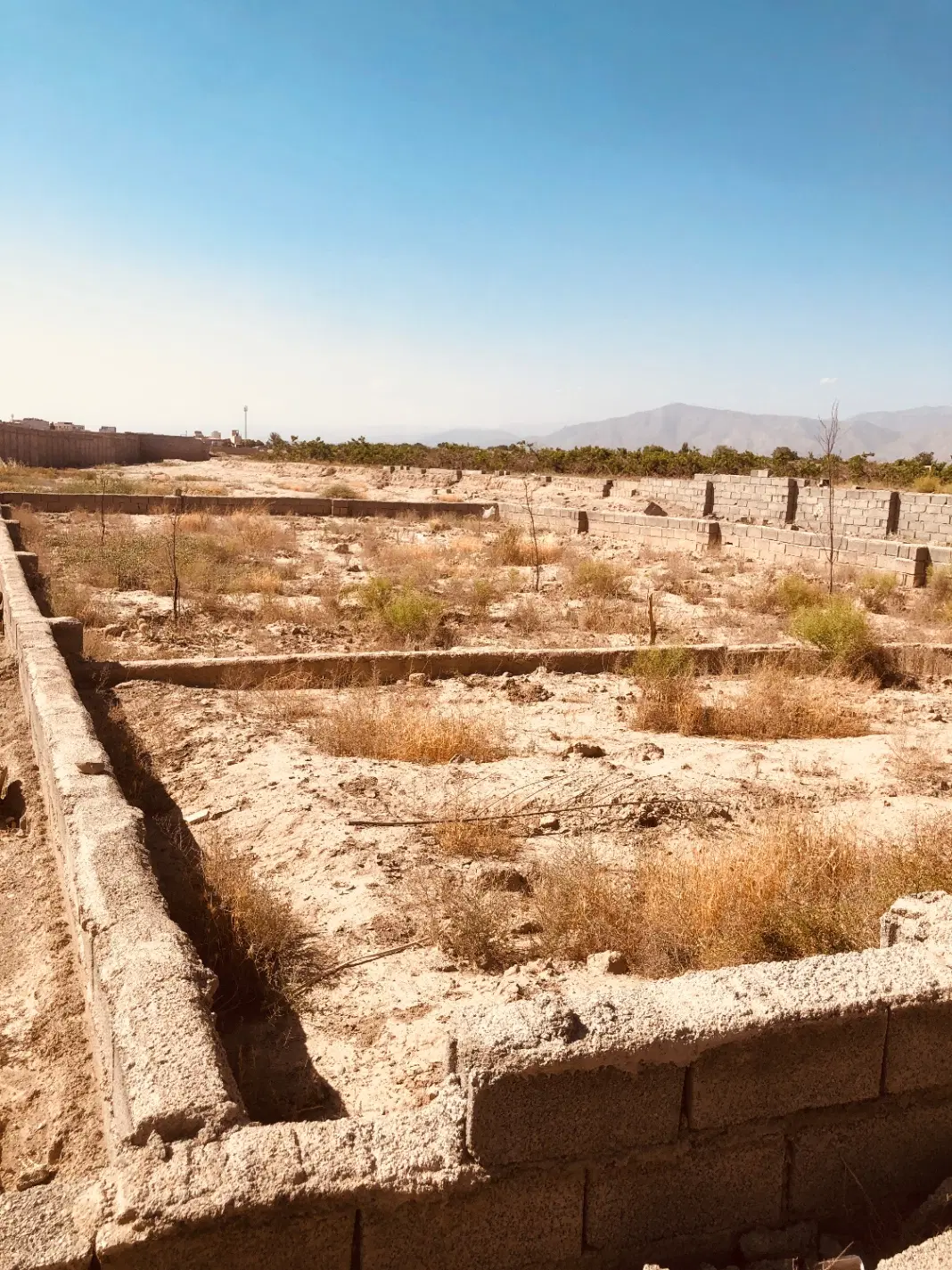 زمین قولنامه ای