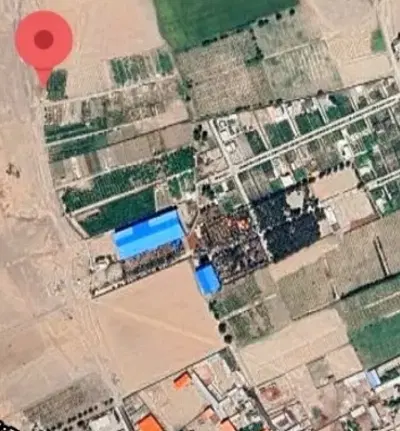 باغچه