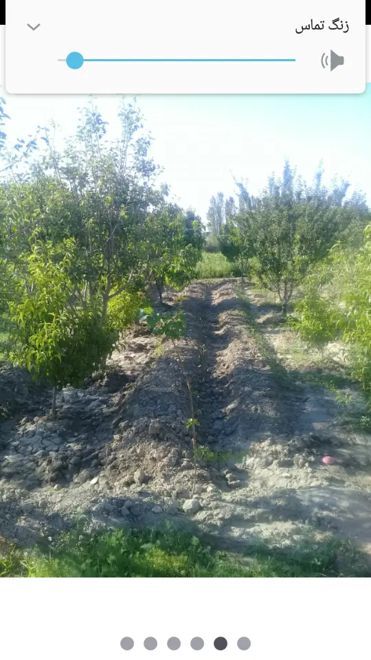 باغ الوان روستای دانقرالو