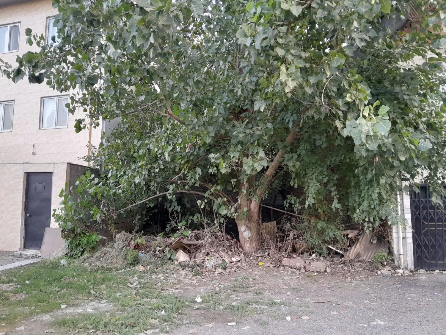 زمین 190 متری رودباری سنددار