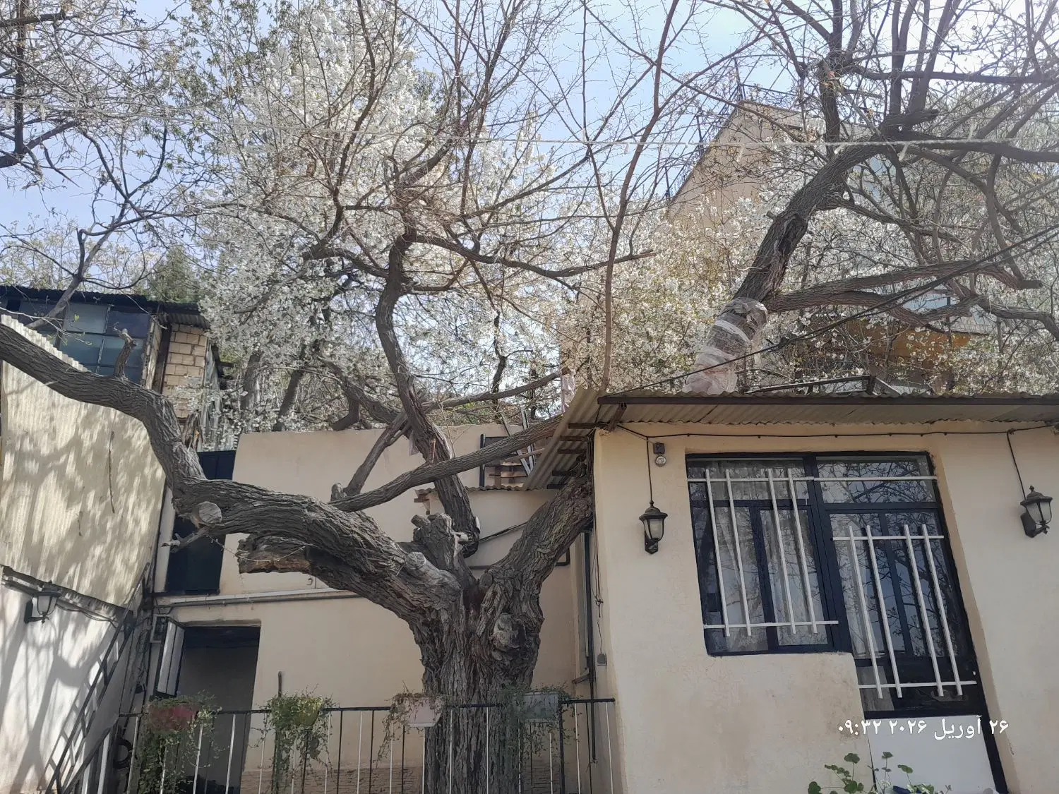 فروش ویلا باغچه زمین ۲۵۰ متری