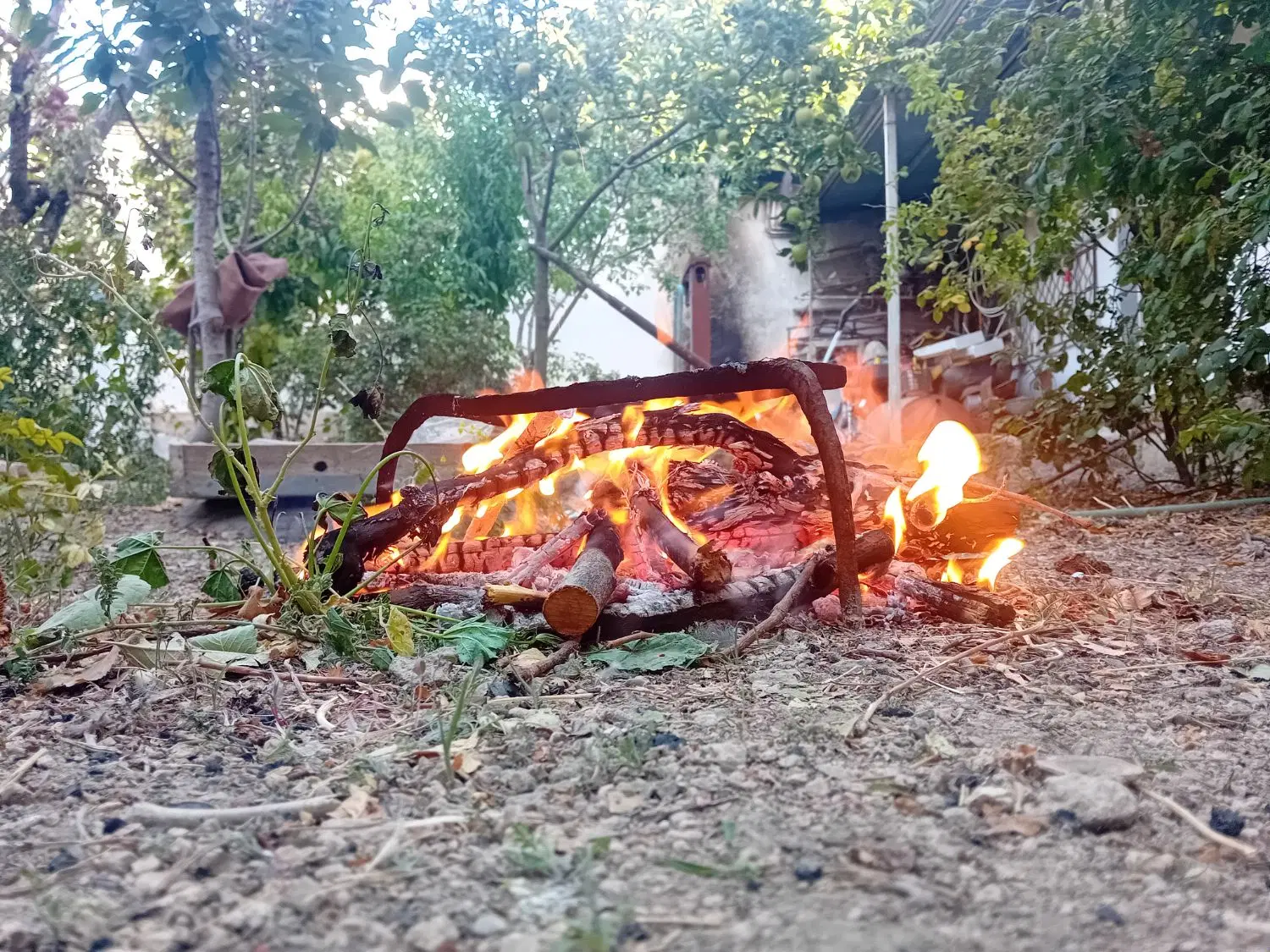 همخونه مودب و بی حاشیه