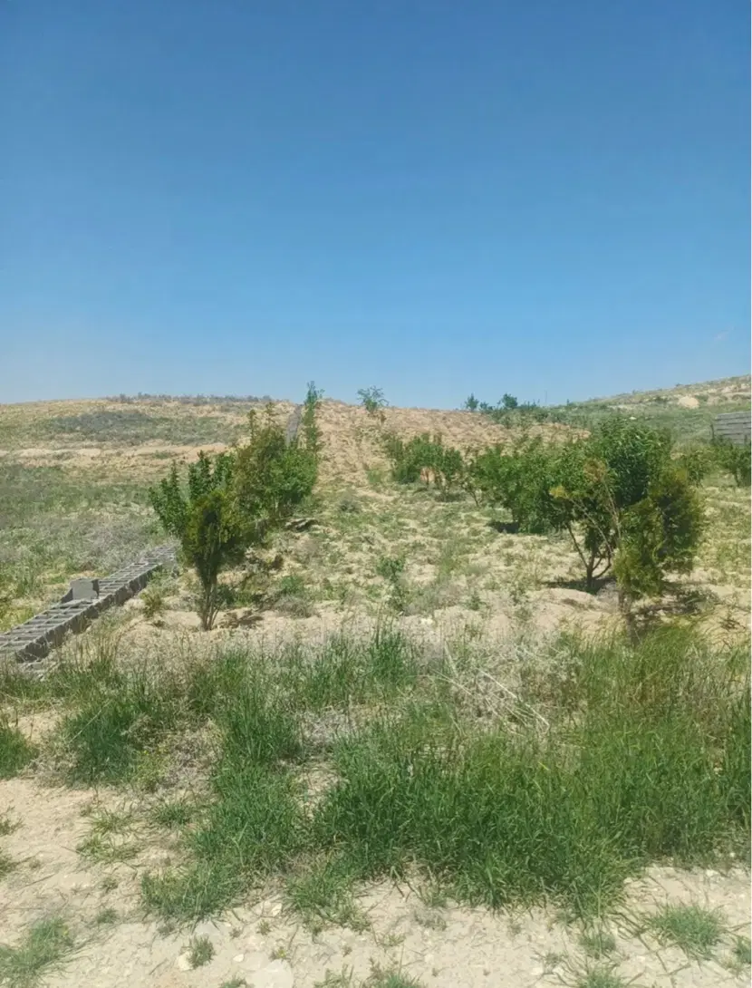 زمین باغشهری منطقه ییلاقی کودیان (قرهچمن)