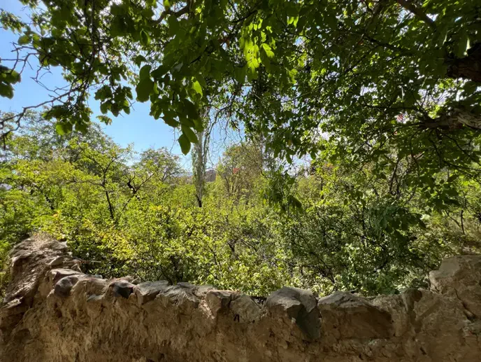 زمین باغ درجزین سندتکبرگ موقعیت عالی