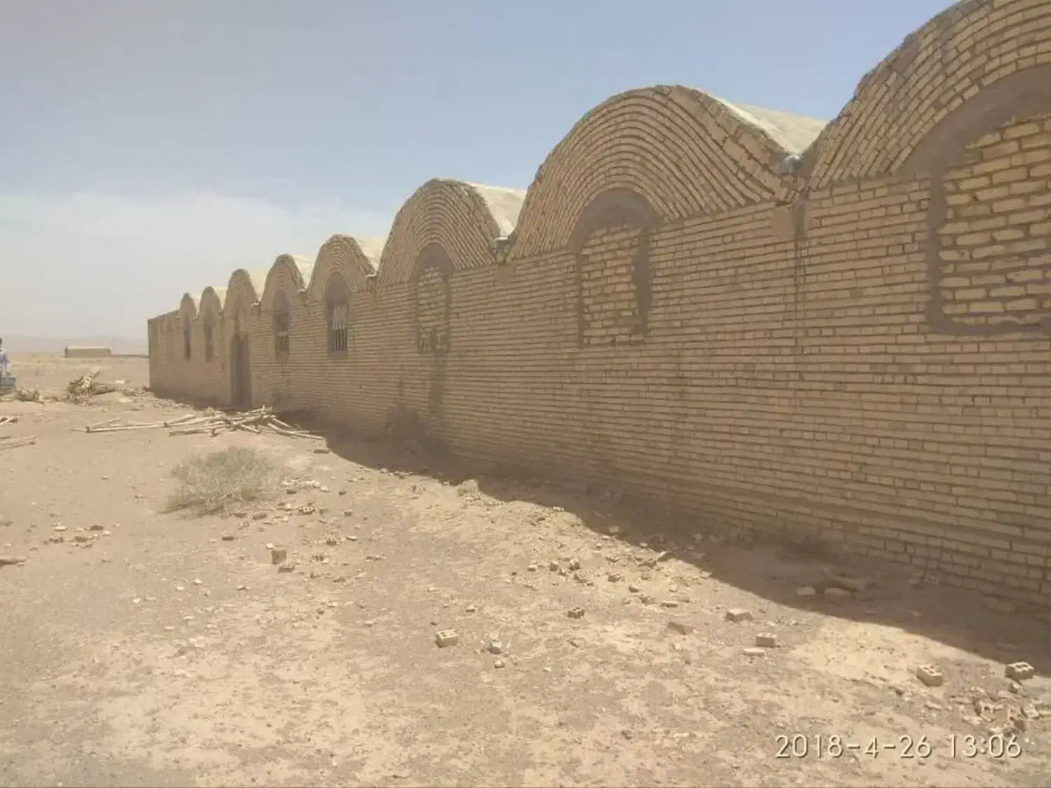 دامداری پرواربندی بره .مرغداری گوشتی یا تخمگذار
