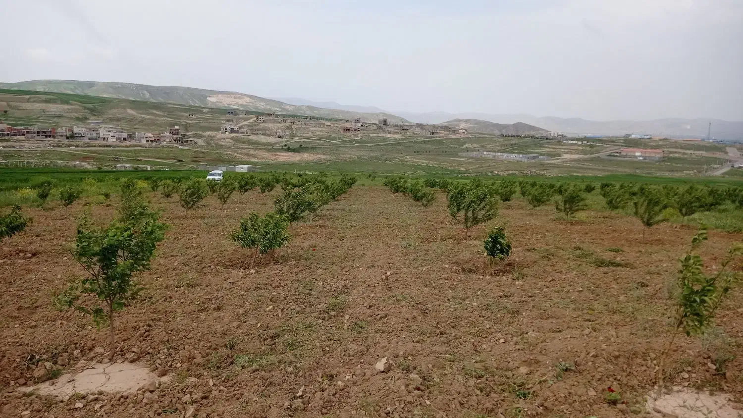 زمین باغی جاده قدیم بدرانلو