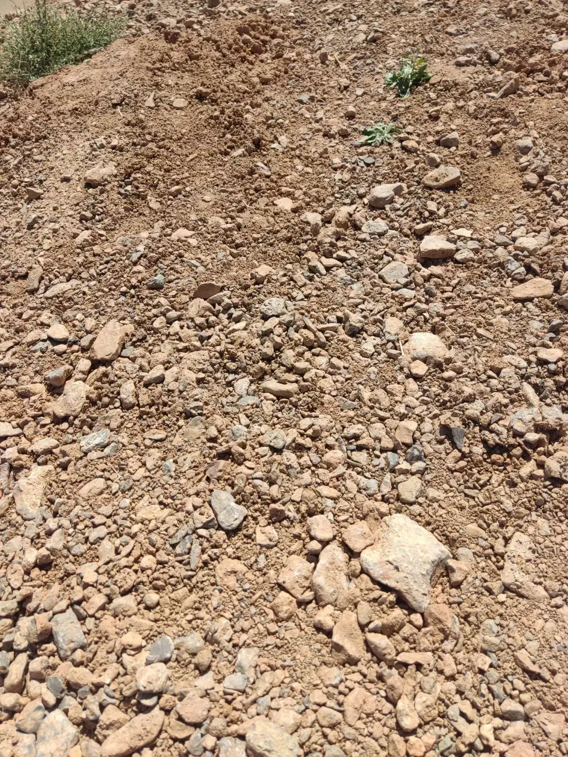 زمین مخصوص باغ و دامداری