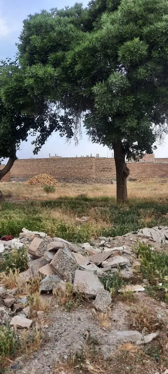 زمین فروشی امام رضا