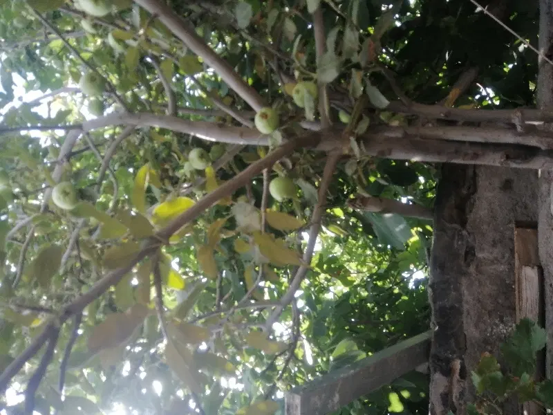 زمین فروشی