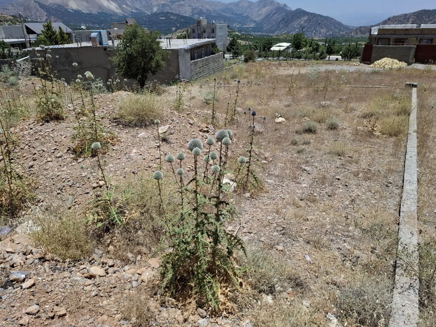زمین مسکونی  سی سخت