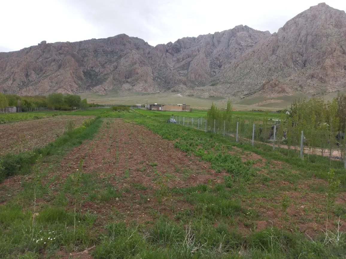 زمین باغی میاندربند