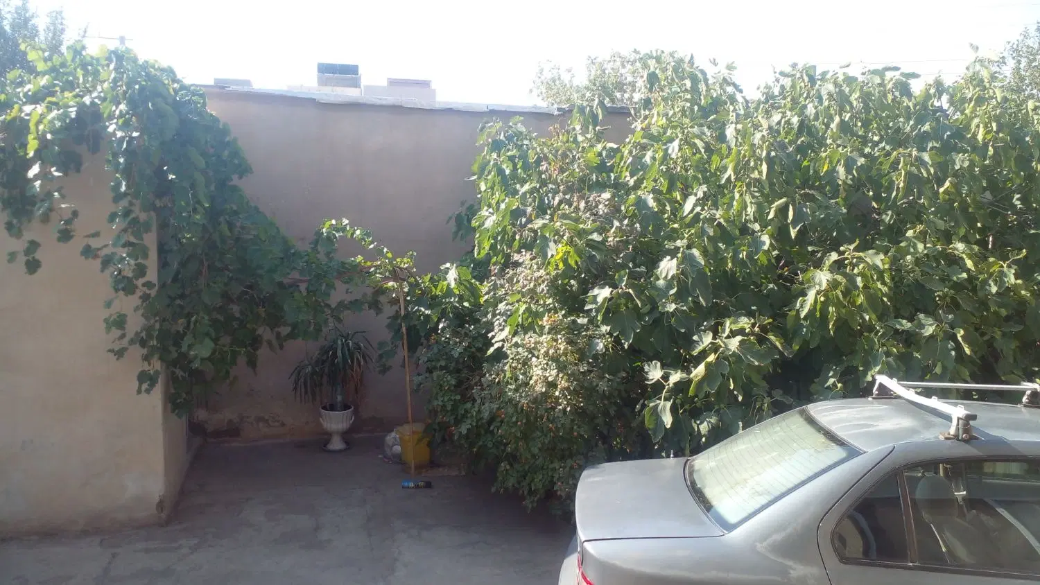 سوئیت اجاره ای .جلفا ارس