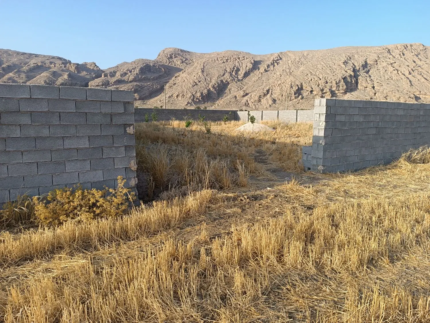 زمین