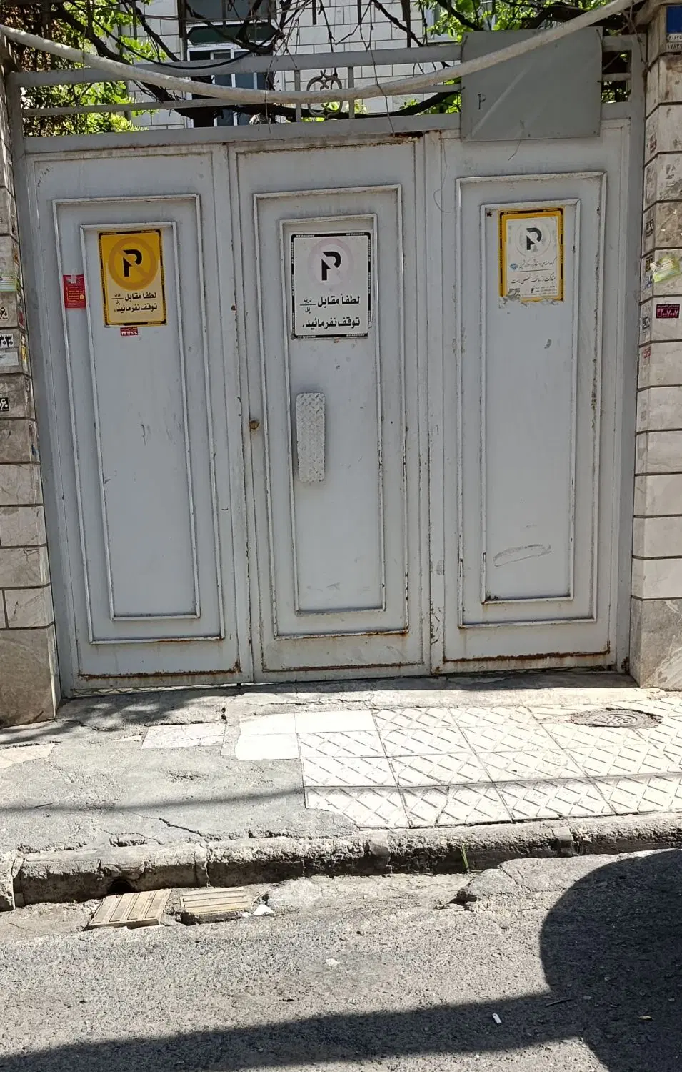 کلگنی