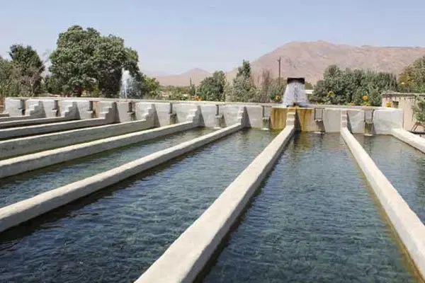 پرورش ماهی با اب چاه یا چشمه