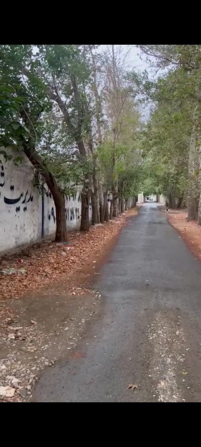 ۷۰۰ متر ویلایی سندار چهارباغ چناران (بر خیابان)
