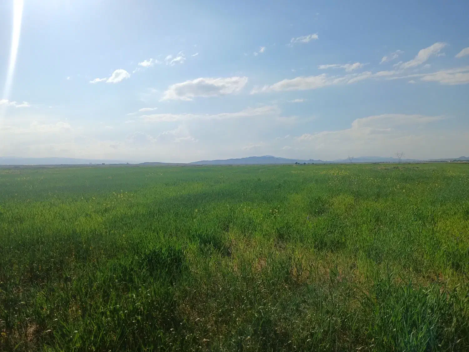 زمین کشاورزی دیمه ۲ هکتار و نیم