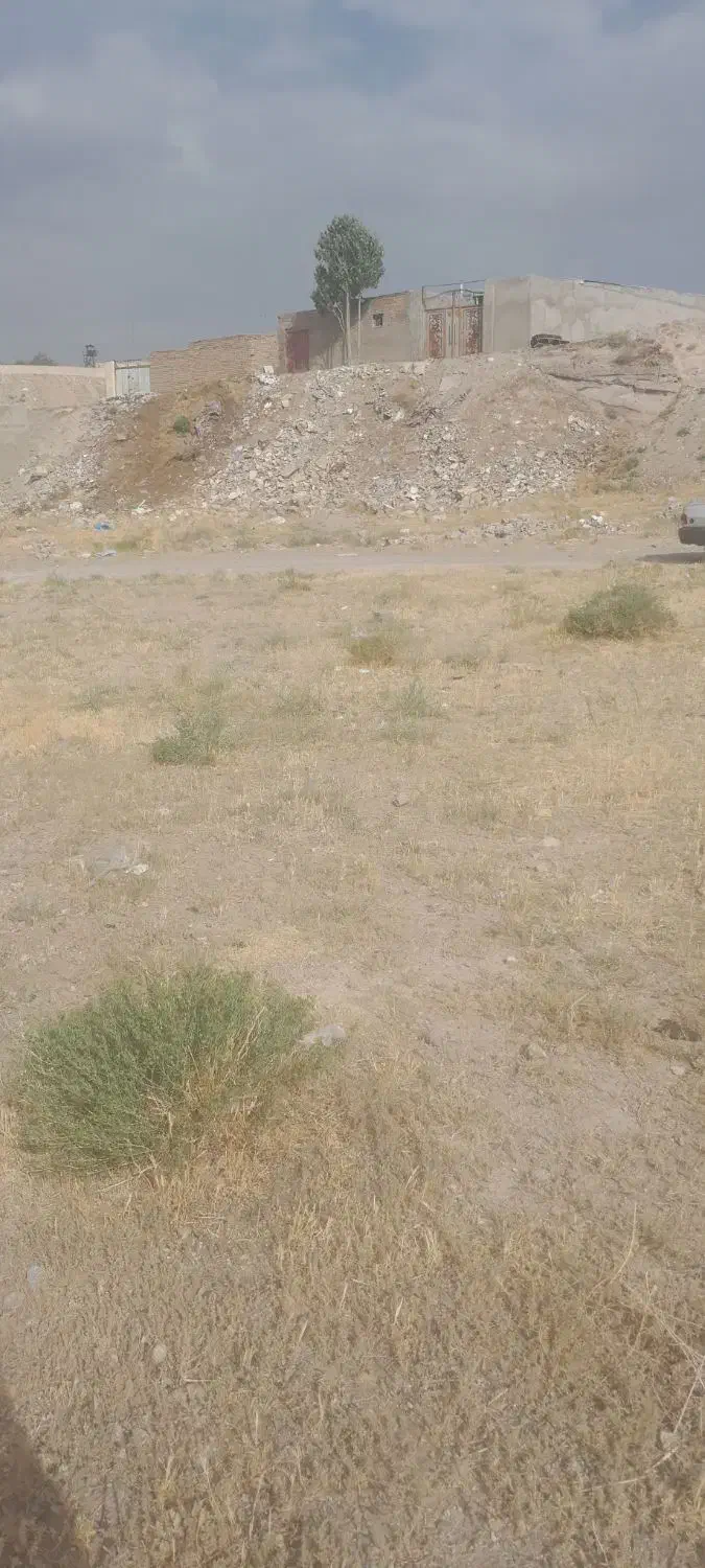 زمین