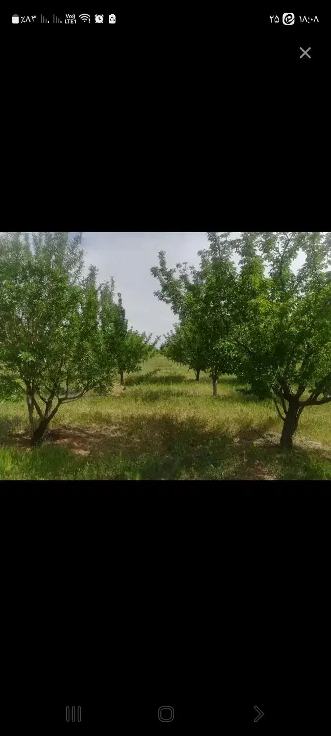 باغ شهر تلاش