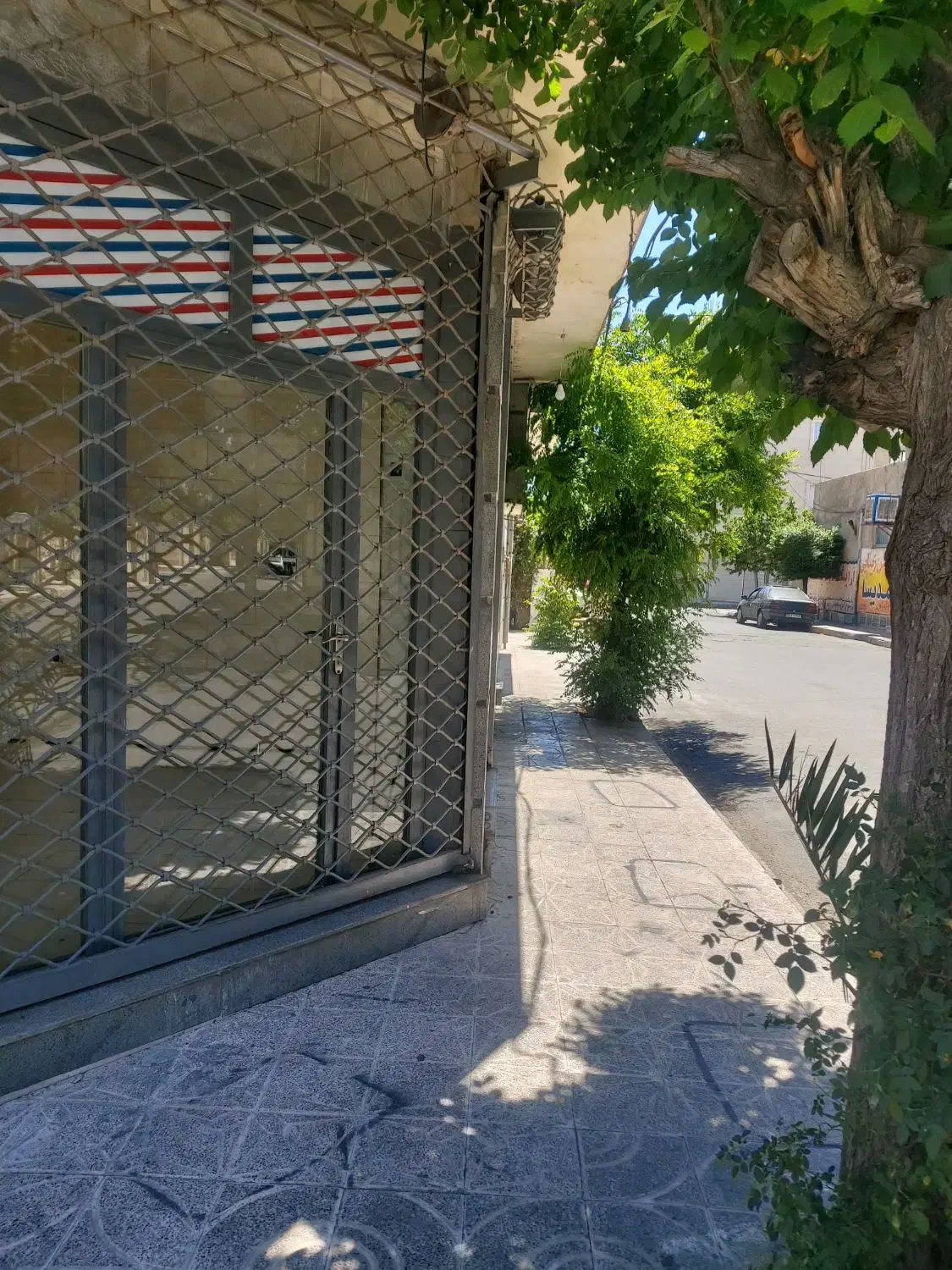 مغازه تجاری