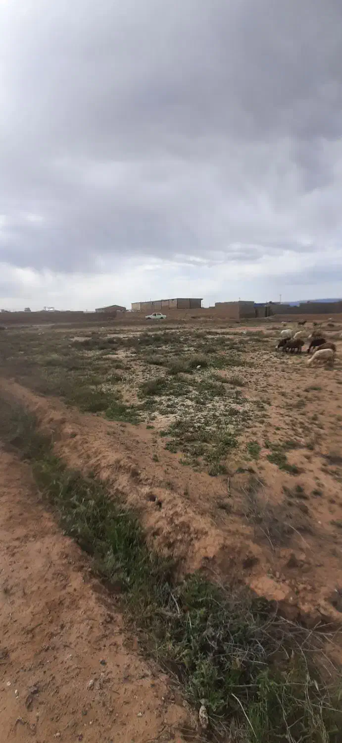 زمین دور دیوار در جاده قدیم بیدخت